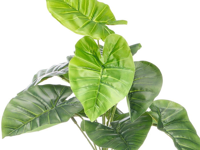 Ibergarden Maceta para Planta de Hojas Anchas 38 cm, Modelo 40x40x40 cm, Color Verde/Negro, Plástico (Set de 6)