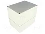 FIBOX EURONORD Carcasa Universal Gris