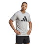 Camiseta Deportiva de Manga Corta Adidas Essentials Tr-Es Fr Logo Gris claro 13-14 Años