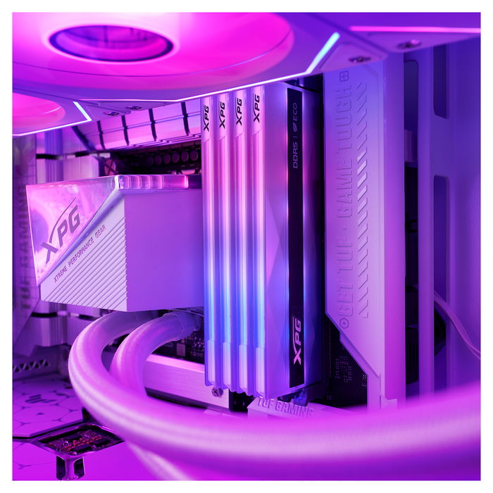 ADATA XPG LANCER NEON RGB DDR5 RAM 16GB (1x16GB) 6400MHz DIMM CL32 - AMD EXPO & Intel XMP 3.0, AX5U6400C3216G-CLANRSG