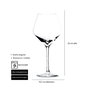 Summa ANDIA Copa Borgoña 55cl / 550ml, Cristal, Altura: 220mm, Diámetro: 107mm, Borde Fino (Set de 6)