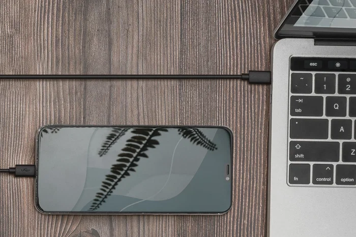 Digitus DB-300137-018-S Cable USB 3.2 Gen 1 USB-C a Micro USB B Negro 1.8m - 5 Gbps, Power Delivery, carga 3A