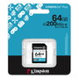 Kingston Canvas Go! Plus 64GB SDXC