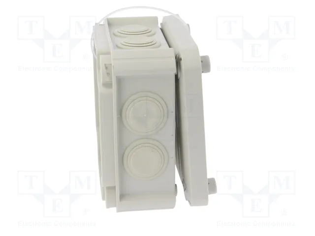 OBO BETTERMANN Caja de conexiones T 60 gris claro