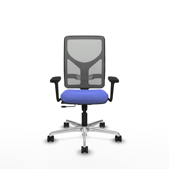 PIQUERAS Y CRESPO Silla de oficina Motilla con mecanismo Sincro/Traslack, Azul claro y Gris PIQUERAS Y CRESPO Silla de oficina Motilla con mecanismo Sincro/Traslack, Azul claro y Gris