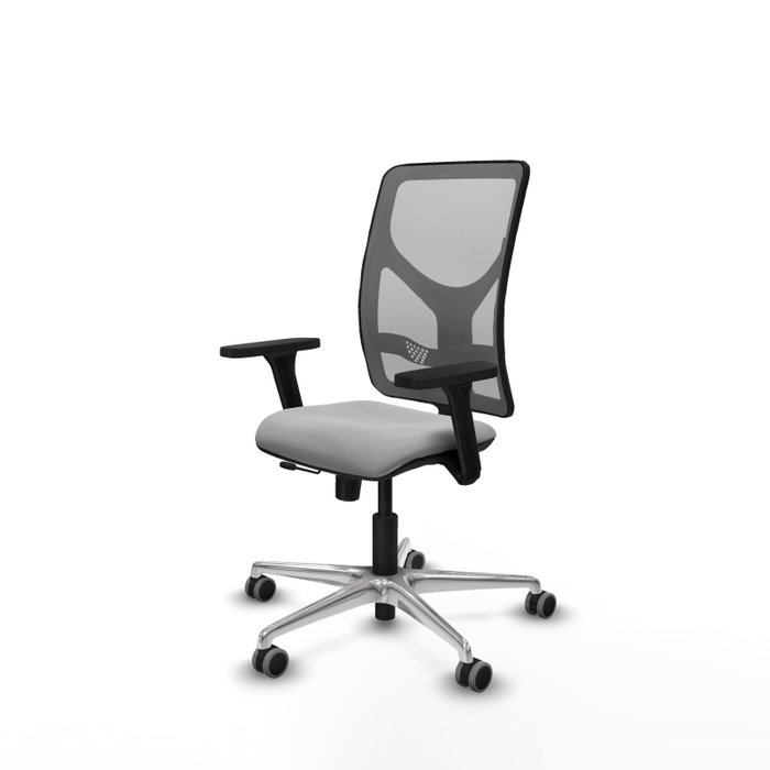 PIQUERAS Y CRESPO Silla de oficina Motilla con mecanismo Sincro/Traslack, Gris claro y Gris PIQUERAS Y CRESPO Silla de oficina Motilla con mecanismo Sincro/Traslack, Gris claro y Gris