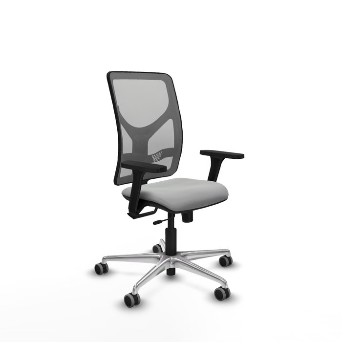 PIQUERAS Y CRESPO Silla de oficina Motilla con mecanismo Sincro/Traslack, Gris claro y Gris PIQUERAS Y CRESPO Silla de oficina Motilla con mecanismo Sincro/Traslack, Gris claro y Gris