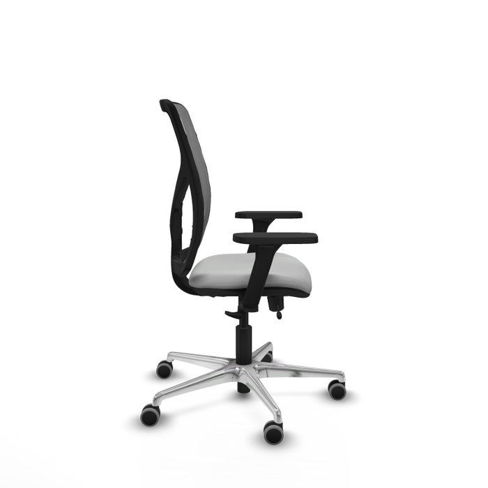 PIQUERAS Y CRESPO Silla de oficina Motilla con mecanismo Sincro/Traslack, Gris claro y Gris PIQUERAS Y CRESPO Silla de oficina Motilla con mecanismo Sincro/Traslack, Gris claro y Gris