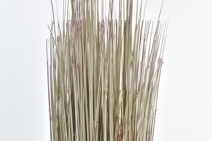 DKD Home Decor Planta PE Surtida 25x25x68 cm (Pack de 2)