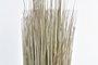 DKD Home Decor Planta PE Surtida 25x25x68 cm (Pack de 2)