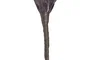 DKD Home Decor Rama EVA 35x10x100 Surtido de 3