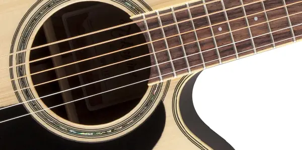 TAKAMINE GN51CE-NAT