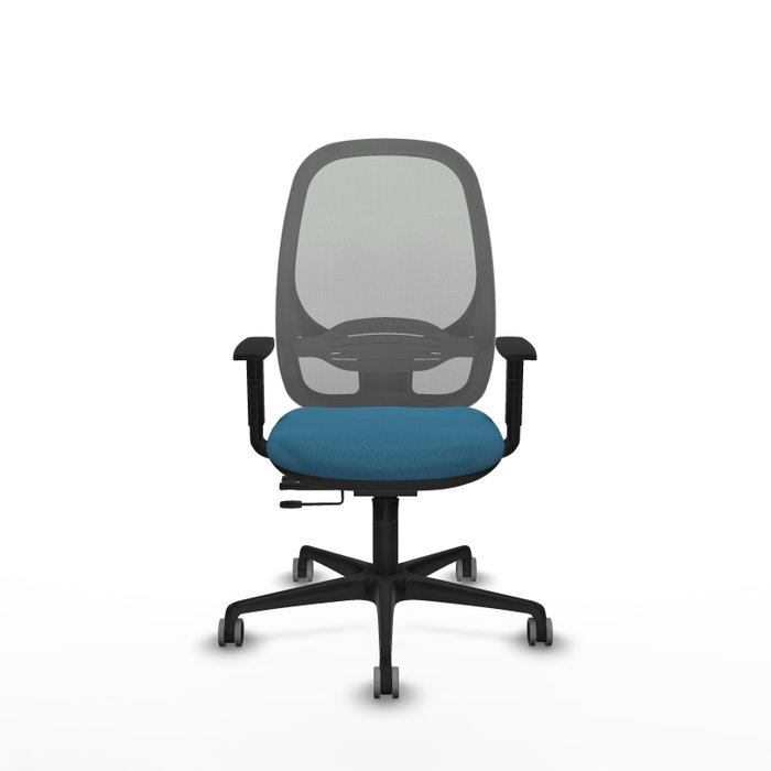 PIQUERAS Y CRESPO Silla de oficina Cilanco con mecanismo Sincro/Traslack, Verde petróleo y Gris PIQUERAS Y CRESPO Silla de oficina Cilanco con mecanismo Sincro/Traslack, Verde petróleo y Gris