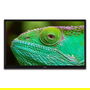 Lenco LED-2463BK (V2) Smart TV 24" HD LED Wifi Negro