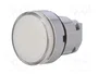 SCHNEIDER ELECTRIC Interruptor de presión Harmony XB4 Blanco 22mm
