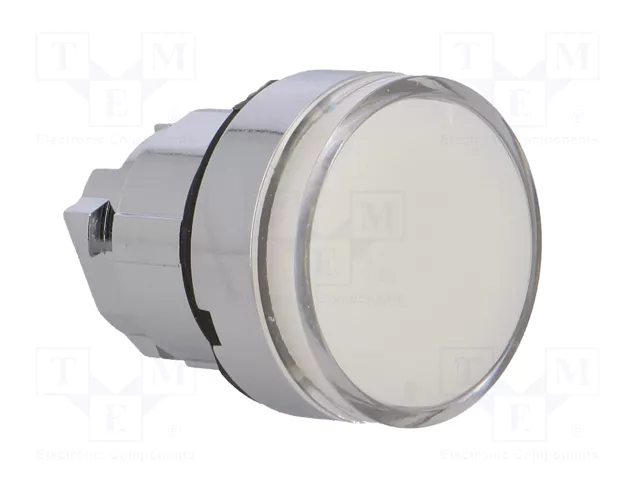 SCHNEIDER ELECTRIC Interruptor de presión Harmony XB4 Blanco 22mm