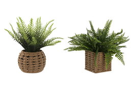 DKD Home Decor Planta Fibra PE Surtido de 2 Colores