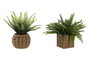 DKD Home Decor Planta Fibra PE Surtido de 2 Colores