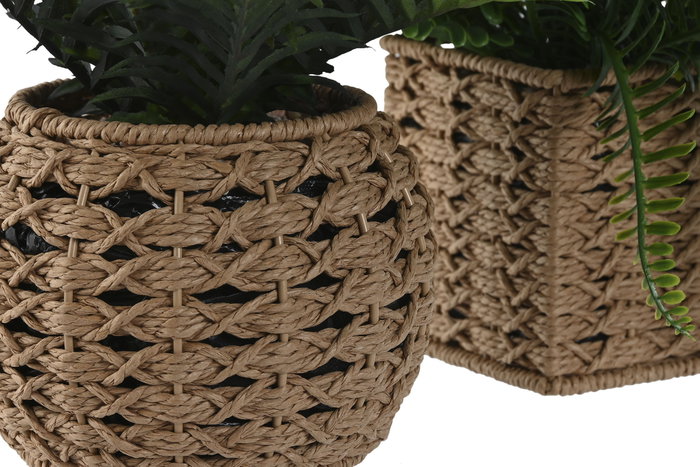 DKD Home Decor Planta Fibra PE Surtido de 2 Colores