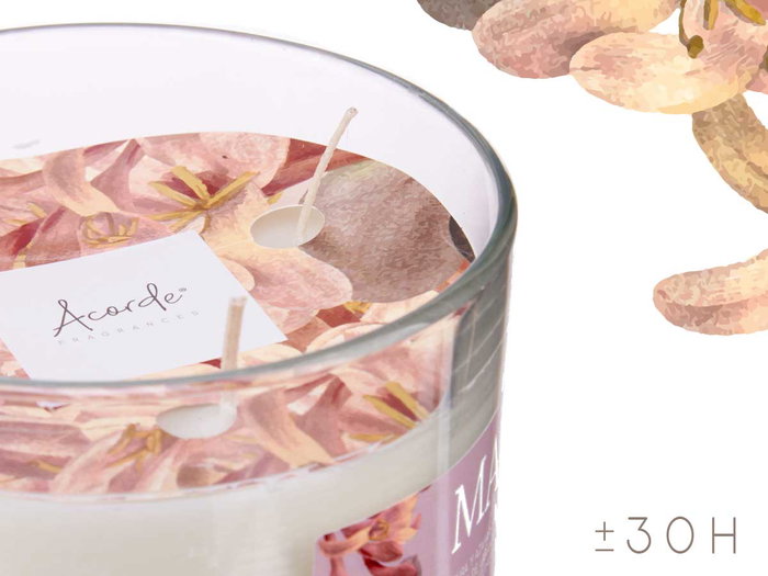 Acorde Vela Vaso con Tapa Dorada Lima Pura y Azahar 12.5x12.5x8.6 cm (Set de 6)