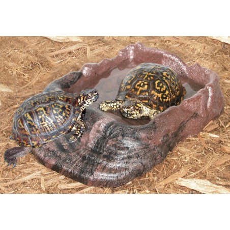 ZooMed Comedero para Reptiles Pequeño - 14x9,5 cm ZooMed Comedero para Reptiles Pequeño - 14x9,5 cm