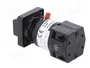 SCHNEIDER ELECTRIC Interruptor de leva 10A 0-1 gris y negro