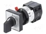 SCHNEIDER ELECTRIC Interruptor de leva 10A 0-1 gris y negro