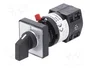 SCHNEIDER ELECTRIC Interruptor de leva 10A 0-1 gris y negro