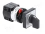 SCHNEIDER ELECTRIC Interruptor de leva 10A 0-1 gris y negro