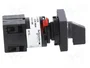 SCHNEIDER ELECTRIC Interruptor de leva 10A 0-1 gris y negro