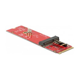 DeLOCK 63343 Convertidor M.2 Key M a M.2 Key E para USB y PCIe