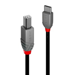 LINDY Cable USB 2.0 de USB C a USB B, 2 m, Negro