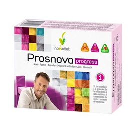 Prosnova Progress