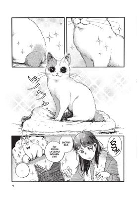 Nekodamari ''El Paraiso De Los Gatos'' 02