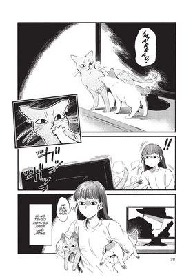 Nekodamari ''El Paraiso De Los Gatos'' 02