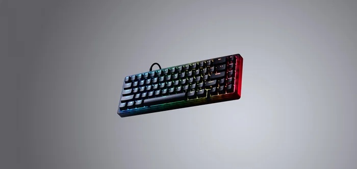 HyperX Origins 2 65 Teclado Mecánico Compacto RGB Negro HyperX Origins 2 65 Teclado Mecánico Compacto RGB Negro