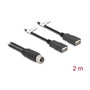 DeLOCK 60291 Cable M12 de 8 pines a 2 x USB 2.0 Tipo-A, 2 m, Negro