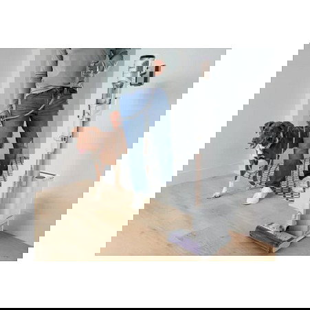 SharkNinja Stick Hoover IW3612EUT Shark Detect Clean & Empty, Color Blanco SharkNinja Stick Hoover IW3612EUT Shark Detect Clean & Empty, Color Blanco