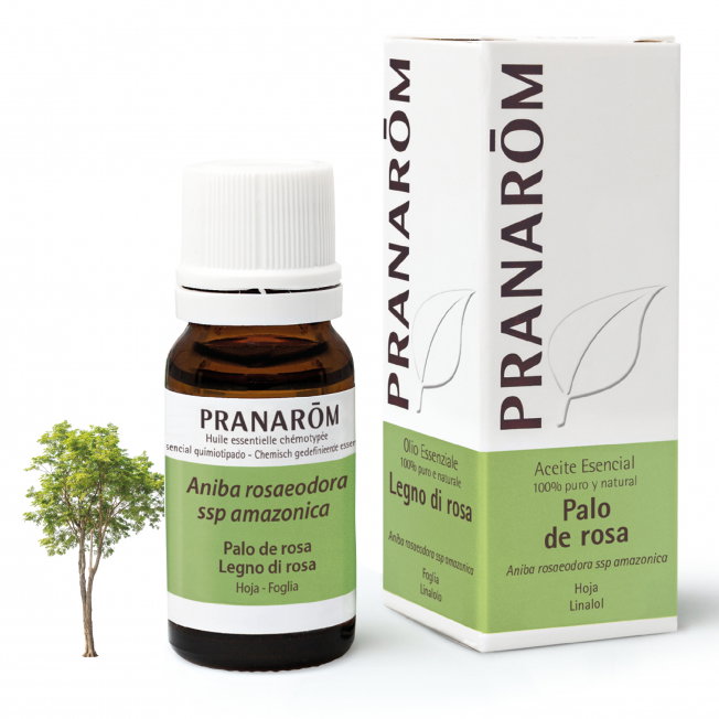 PRANAROM Aceite esencial de Palo de Rosa BIO 10ml