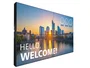 Philips 55BDL3305X LCD Interior 55 pulgadas Full HD