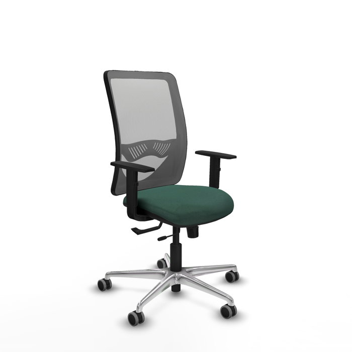 PIQUERAS Y CRESPO Silla de oficina Zulema con mecanismo Sincro/Traslack, Verde botella y Gris PIQUERAS Y CRESPO Silla de oficina Zulema con mecanismo Sincro/Traslack, Verde botella y Gris