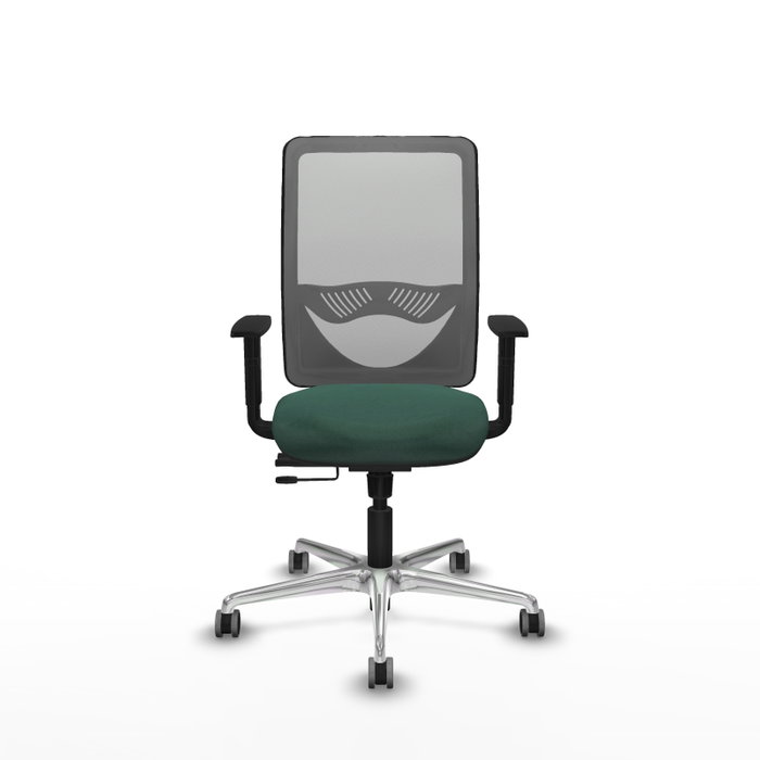 PIQUERAS Y CRESPO Silla de oficina Zulema con mecanismo Sincro/Traslack, Verde botella y Gris PIQUERAS Y CRESPO Silla de oficina Zulema con mecanismo Sincro/Traslack, Verde botella y Gris