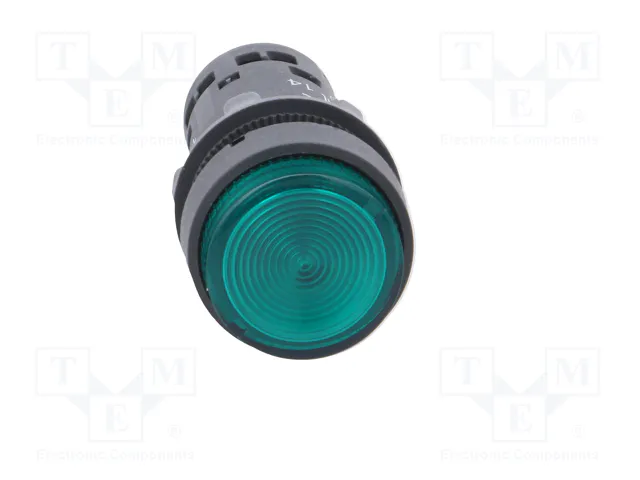 SCHNEIDER ELECTRIC Interruptor de presión Harmony XB7 22mm Verde LED 230V NA