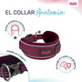Collar para Perro Company of Animals
