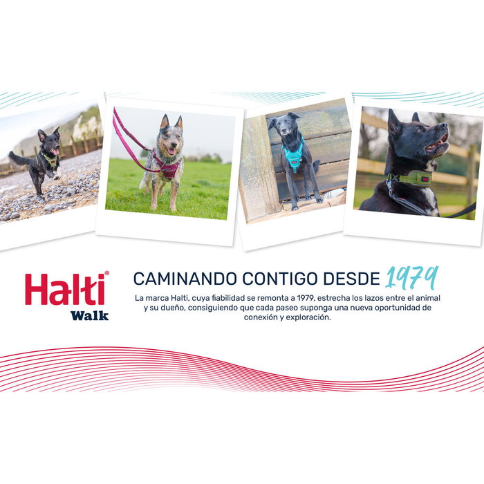 Collar para Perro Company of Animals Collar para Perro Company of Animals