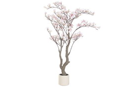 DKD Home Decor Árbol de Magnolio Blanco de PE y Cemento 80x80x163 cm