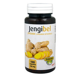 Jengibel