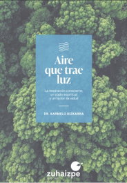 Aire que trae luz, Karmelo Bizkarra Maiztegi - ZUHAIZPE