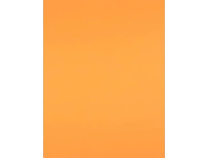 Liderpapel Cartulina 50x65 cm 180 gr Nectarina para Dibujo y Manualidades