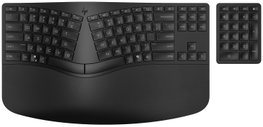 HP 960 Ergonomic Teclado Inalámbrico Ergonómico con Reposamuñecas, Diseño Partido, Teclado Numérico, Distribución Polaca, Negro